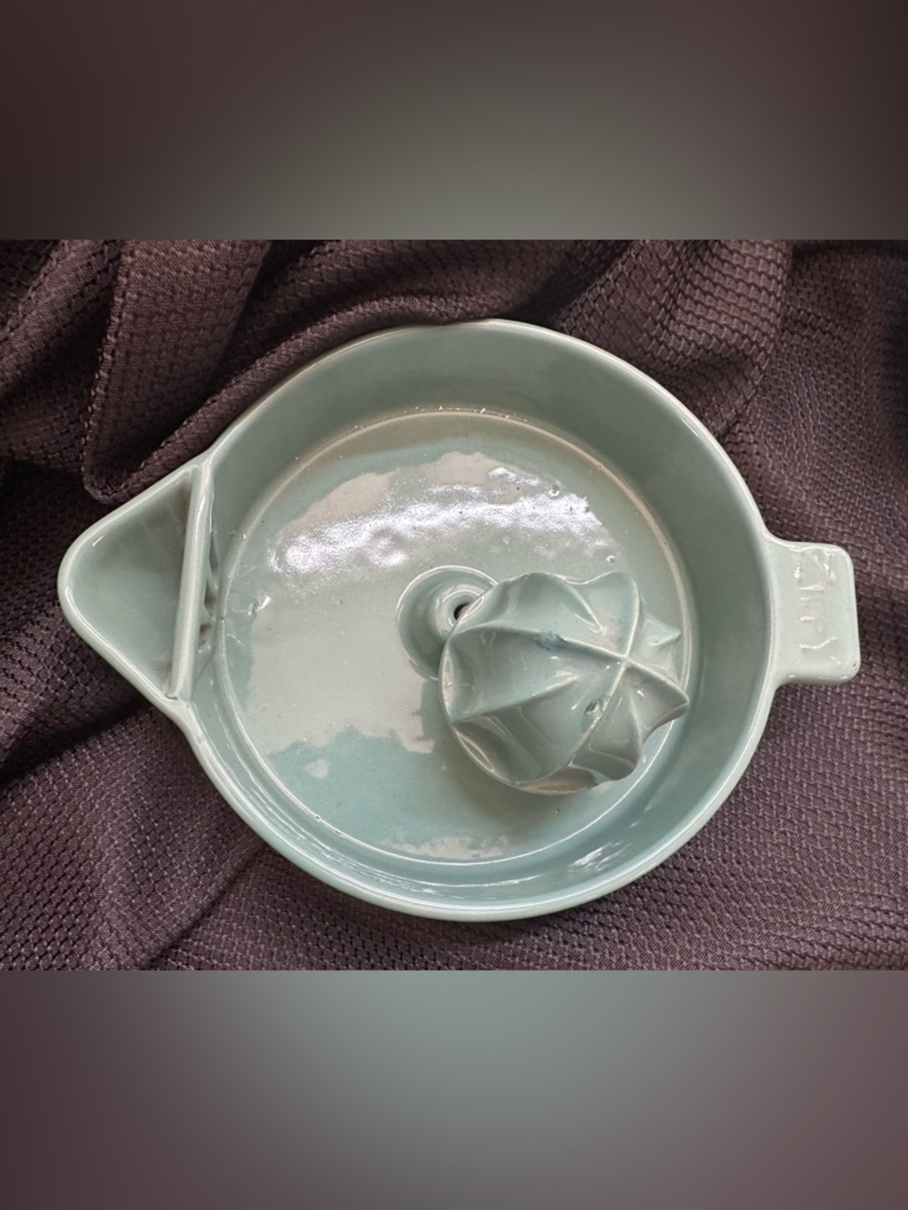 Ceramic Citrus Juicer in Pale Seafoam Green